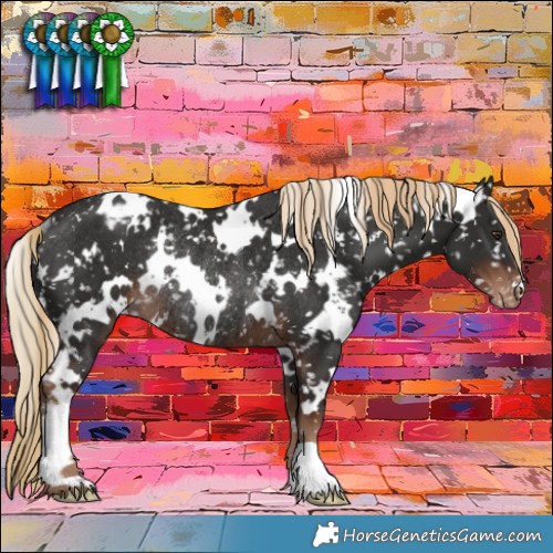 Horse Color:White Spotted Liver Chestnut Appaloosa Rabicano 