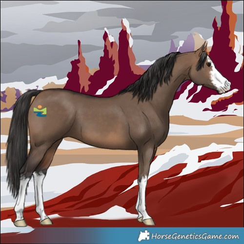 Horse Color:White Spotted Brown Dun 