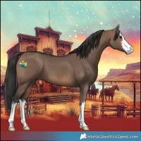 Horse Color:White Spotted Brown Dun 