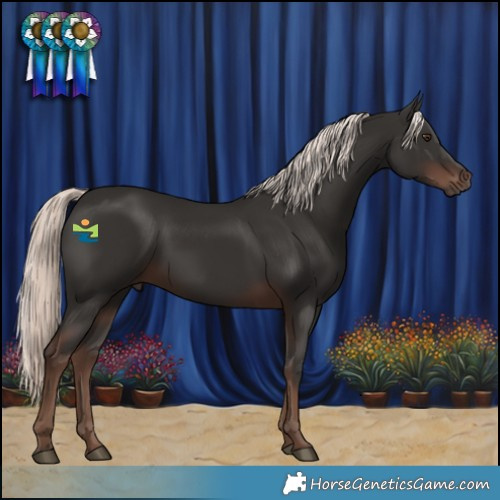 Horse Color:Liver Chestnut Mushroom 