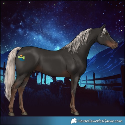 Horse Color:Liver Chestnut Mushroom 