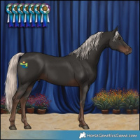 Horse Color:Liver Chestnut Mushroom