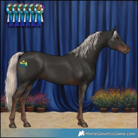 Horse Color:Liver Chestnut Mushroom