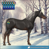 Horse Color:Liver Chestnut Mushroom