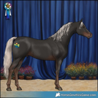 Horse Color:Liver Chestnut Mushroom 