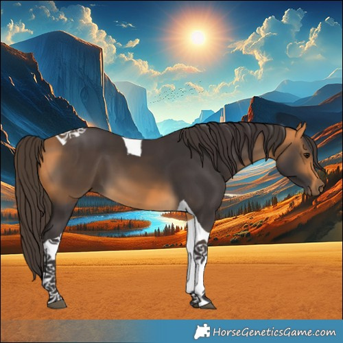 Horse Color:Buckskin Tobiano 