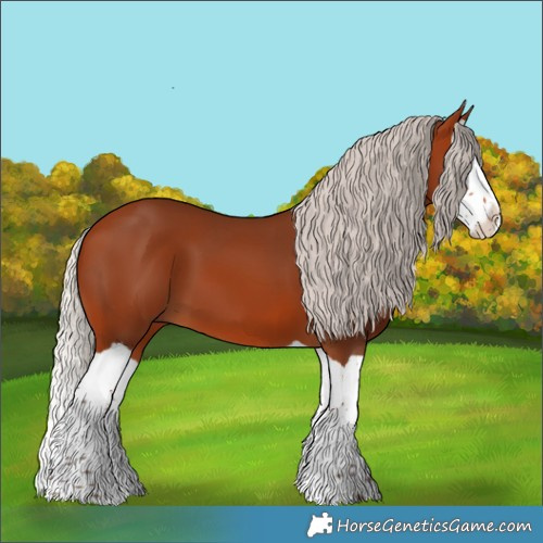 Horse Color:Silver Bay Splash 