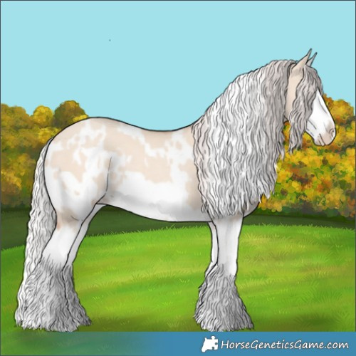 Horse Color:White Spotted Silver Classic Champagne Dun Splash Frame 