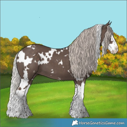 Horse Color:White Spotted Silver Black Splash 