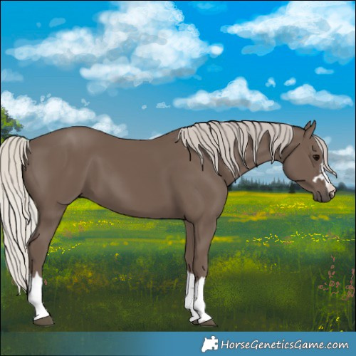 Horse Color:Silver Black 