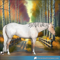 Horse Color:Silver Amber Champagne Roan Blanket