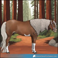 Horse Color:Gray Silver Black Pearl Tobiano 