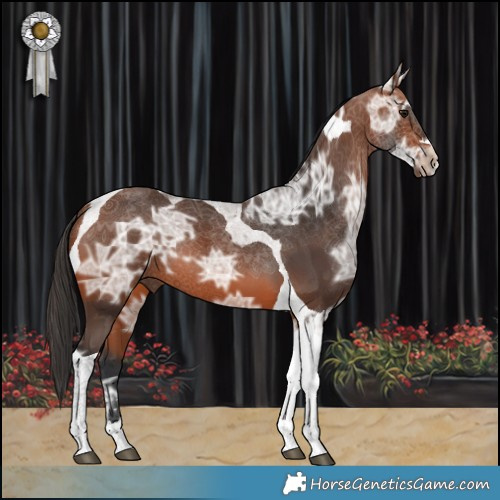 Horse Color:Bay Ice Tobiano 