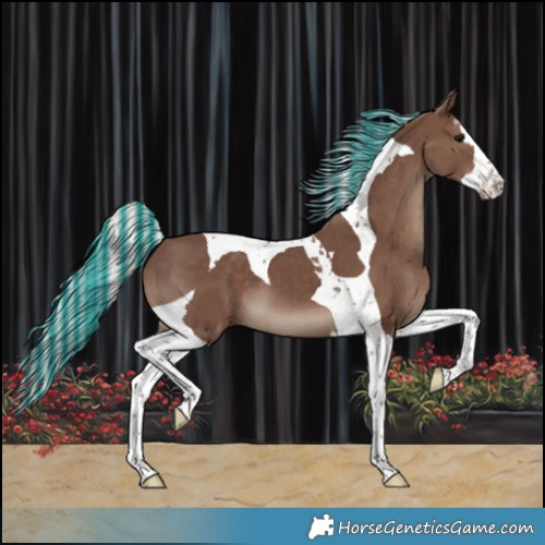 Horse Color:Painted Silver Black Splash Tobiano 