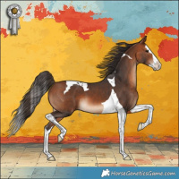 Horse Color:Bay Splash Tobiano