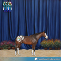 Horse Color:Bay Splash Blanket