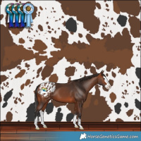 Horse Color:Bay Splash Blanket 