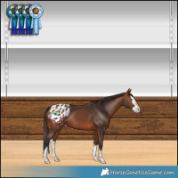 Horse Color:Bay Splash Blanket 