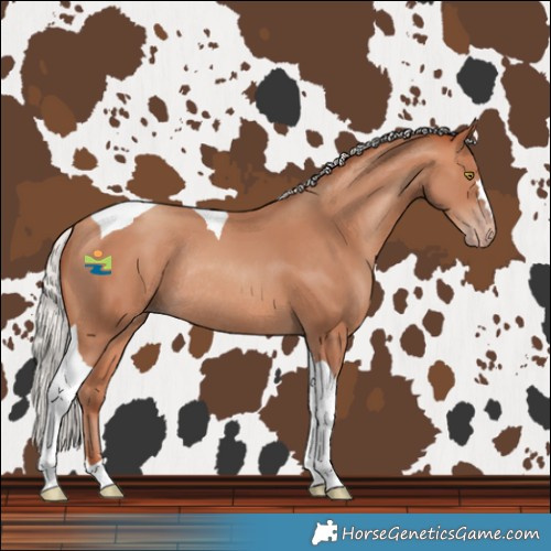 Horse Color:Silver Amber Champagne Tobiano Rabicano 