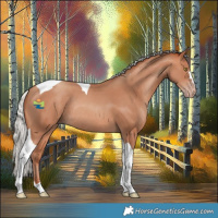 Horse Color:Silver Amber Champagne Tobiano Rabicano