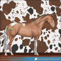 Horse Color:Silver Amber Champagne Tobiano Rabicano 
