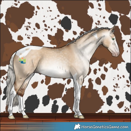 Horse Color:Gray Silver Amber Champagne Dun Tobiano Rabicano 
