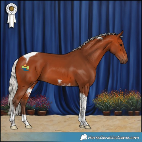 Horse Color:Silver Bay Tobiano