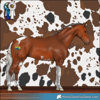 Horse Color:Silver Bay Tobiano 