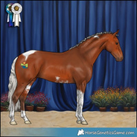 Horse Color:Silver Bay Tobiano 