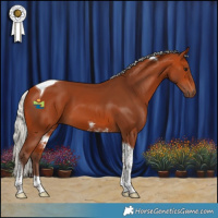 Horse Color:Silver Bay Tobiano 