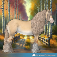Horse Color:Gray Gold Cream Champagne Dun Tobiano 