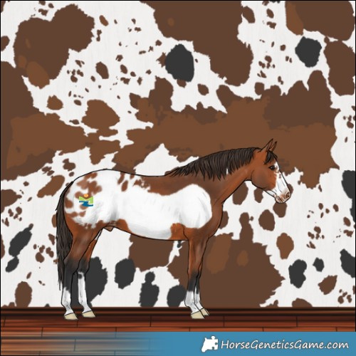 Horse Color:Bay Frame Blanket 