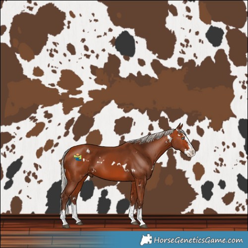Horse Color:White Spotted Silver Bay Splash 
