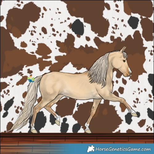 Horse Color:Palomino Dun Rabicano 