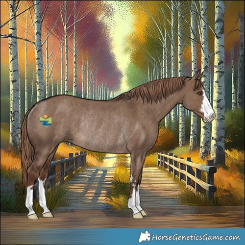 Horse Color:Liver Red Dun Rabicano 