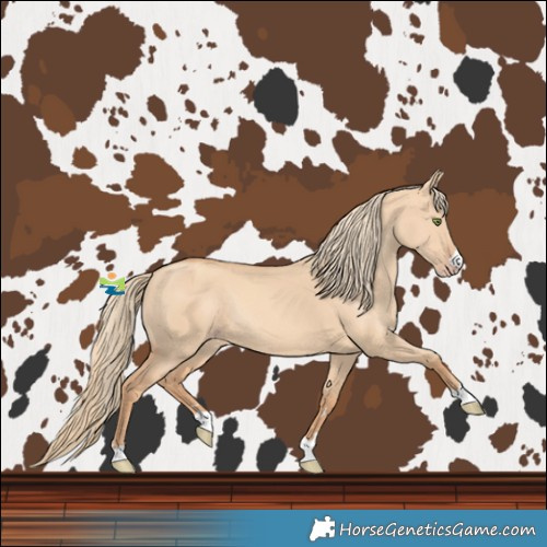 Horse Color:Gold Champagne Dun Rabicano 