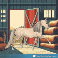 Horse Color:Gold Champagne Dun Rabicano 