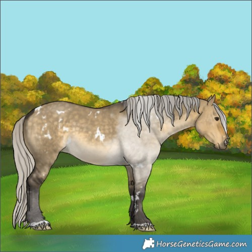 Horse Color:White Spotted Silver Buckskin Dun 
