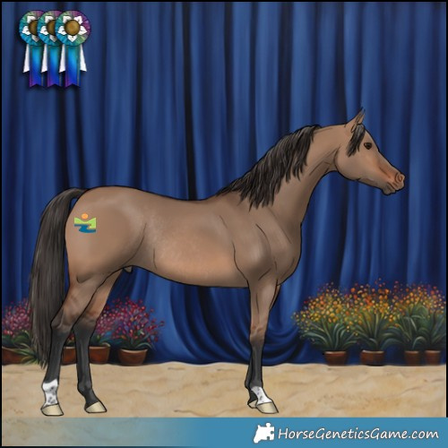 Horse Color:Brown Dun Rabicano 