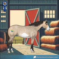 Horse Color:Buckskin Roan Dun Frame Rabicano