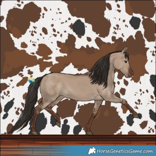 Horse Color:Liver Red Dun Rabicano 