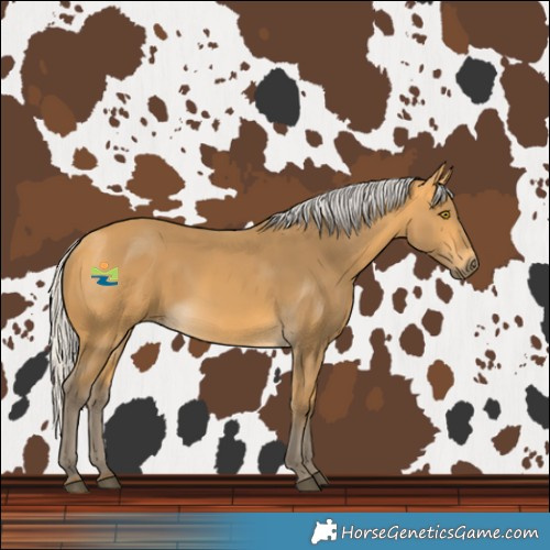 Horse Color:Silver Buckskin Rabicano 