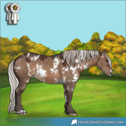 Horse Color:White Spotted Silver Brown Dun 