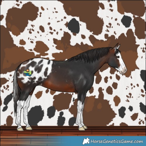 Horse Color:Brown Splash Blanket 