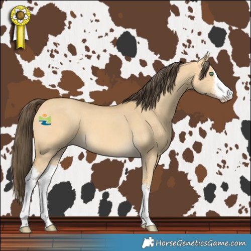 Horse Color:White Spotted Amber Cream Champagne Dun 