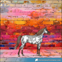 Horse Color:Liver Red Roan Skewed Appaloosa