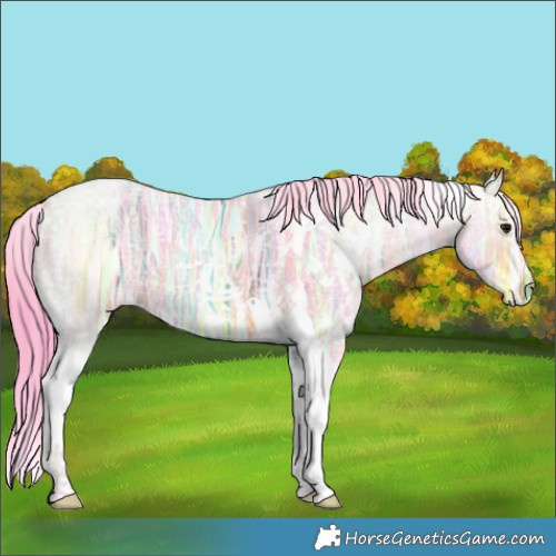 Horse Color:Watercolor White Spotted Brown Ice Tobiano 