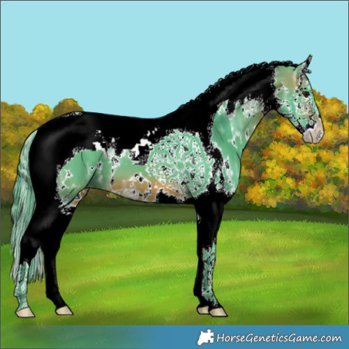 Horse Color:Watercolor White Spotted Brown Ice Splash Tobiano 