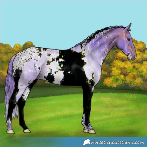 Horse Color:Watercolor White Spotted Brown Ice Tobiano 