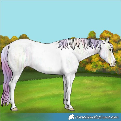 Horse Color:Nacre Watercolor White Spotted Brown Ice Dun Tobiano 